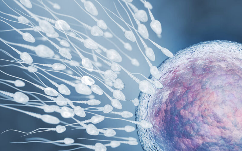 Señales tempranas de embarazo: guía práctica para personas de  México